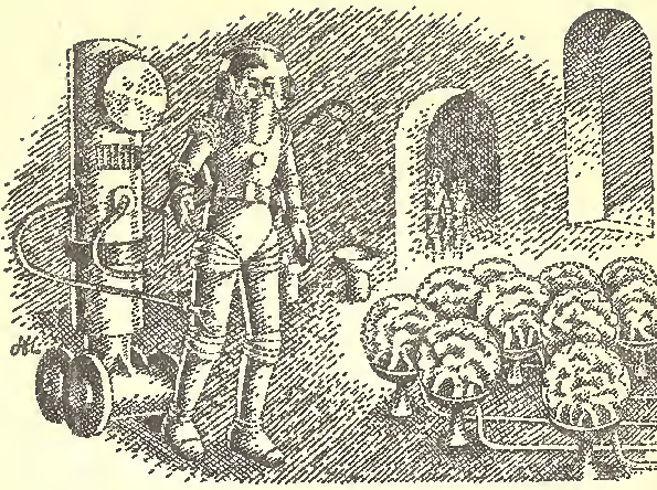 illustration from Quest